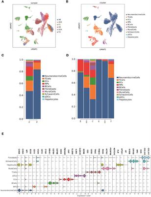 Single-cell transcriptome sequencing reveals tumor heterogeneity in family neuroblastoma